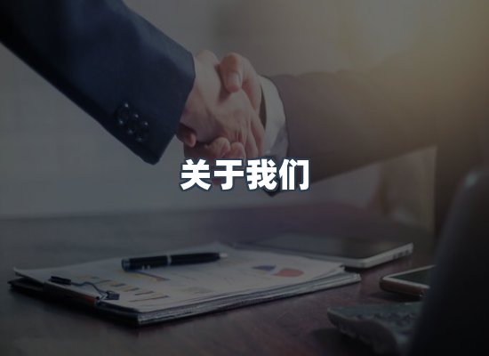专业团队